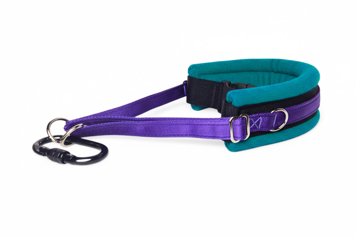 Hands Free Dog Walking Belt - Purple Webbing