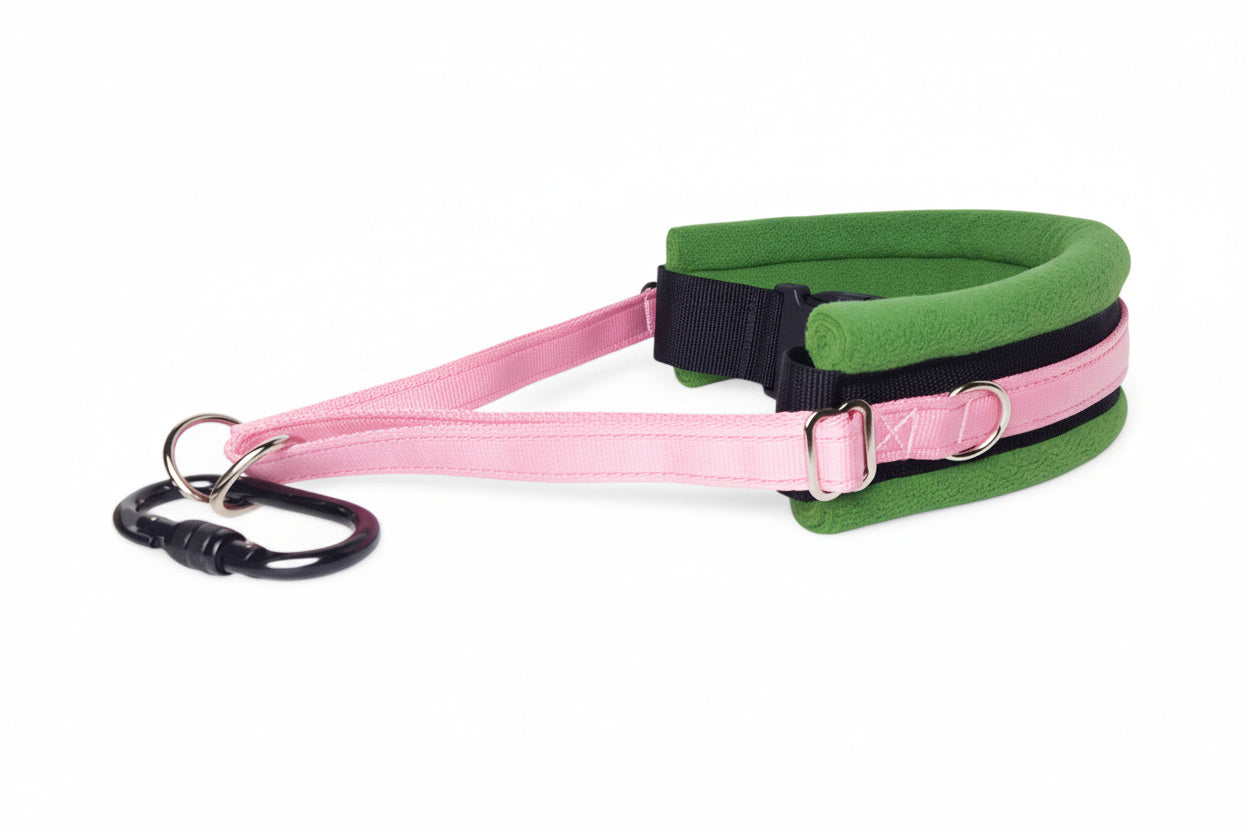 Hands Free Dog Walking Belt - Baby Pink Webbing