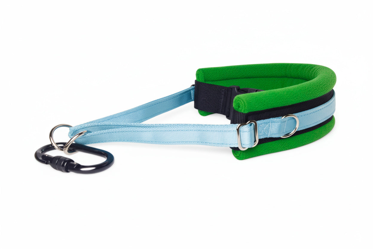 Hands Free Dog Walking Belt - Sky Blue Webbing