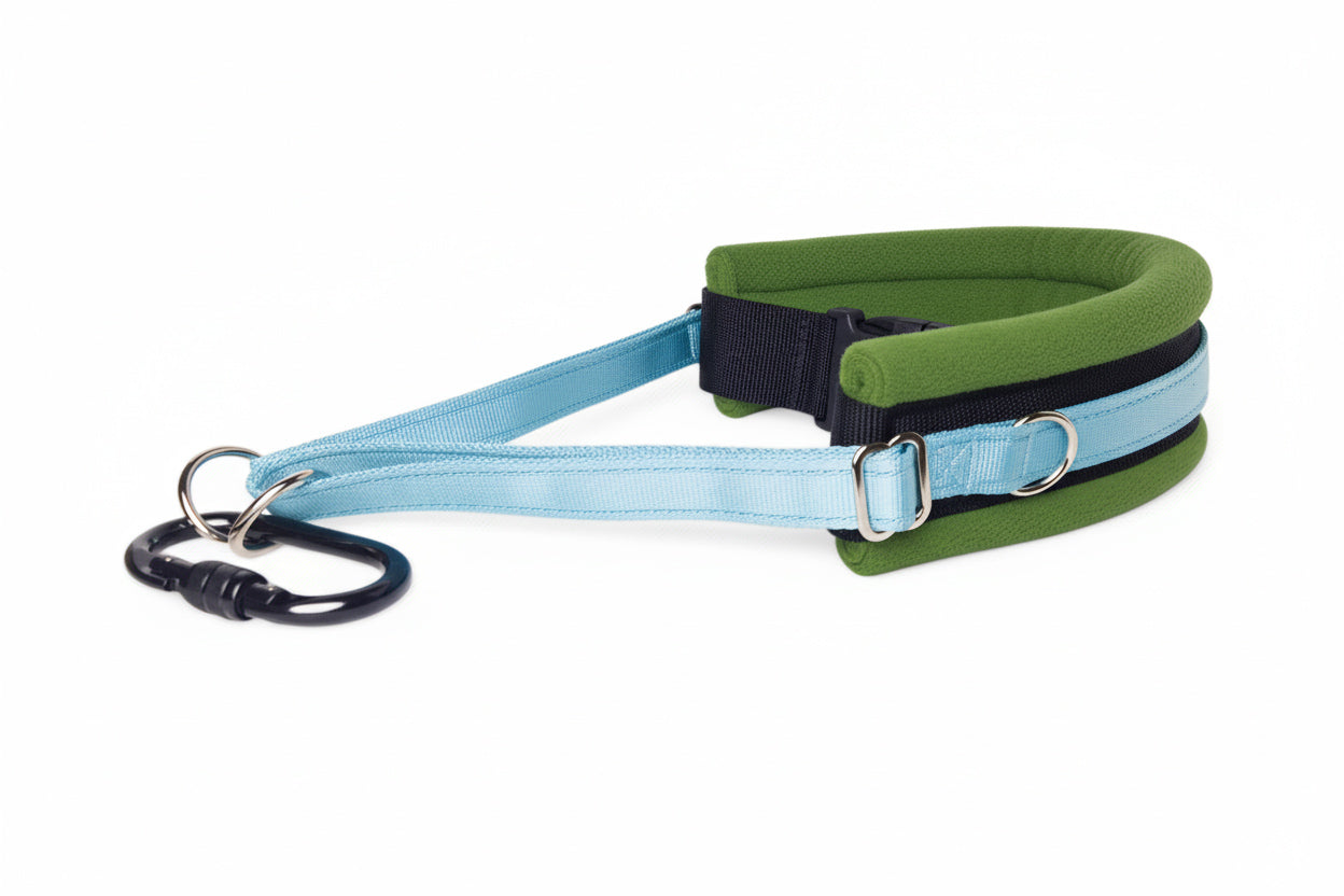 Hands Free Dog Walking Belt - Sky Blue Webbing