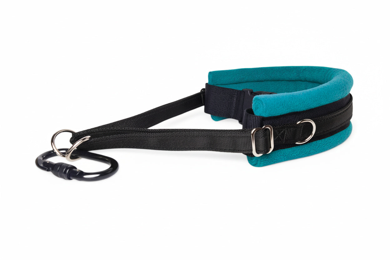 Hands Free Dog Walking Belt - Black Webbing