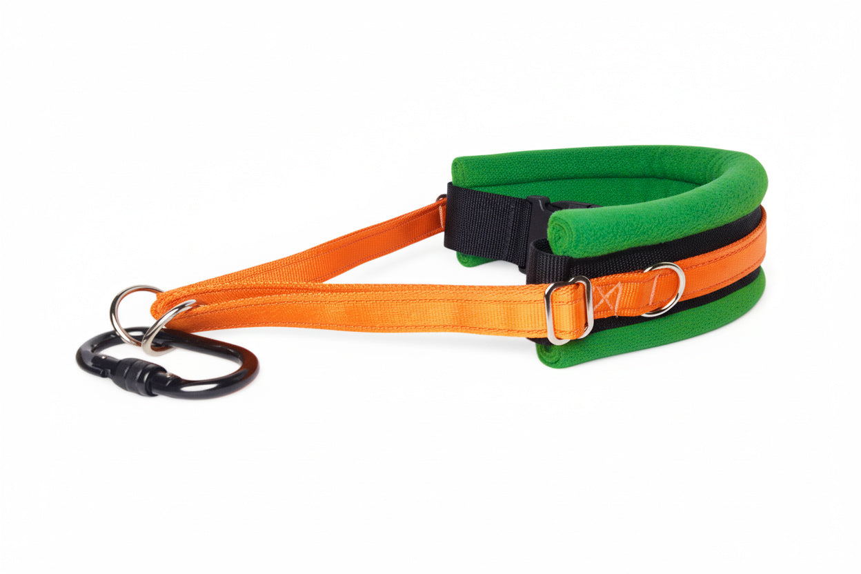 Hands Free Dog Walking Belt - Orange Webbing