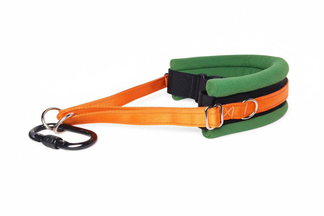 Hands Free Dog Walking Belt - Orange Webbing