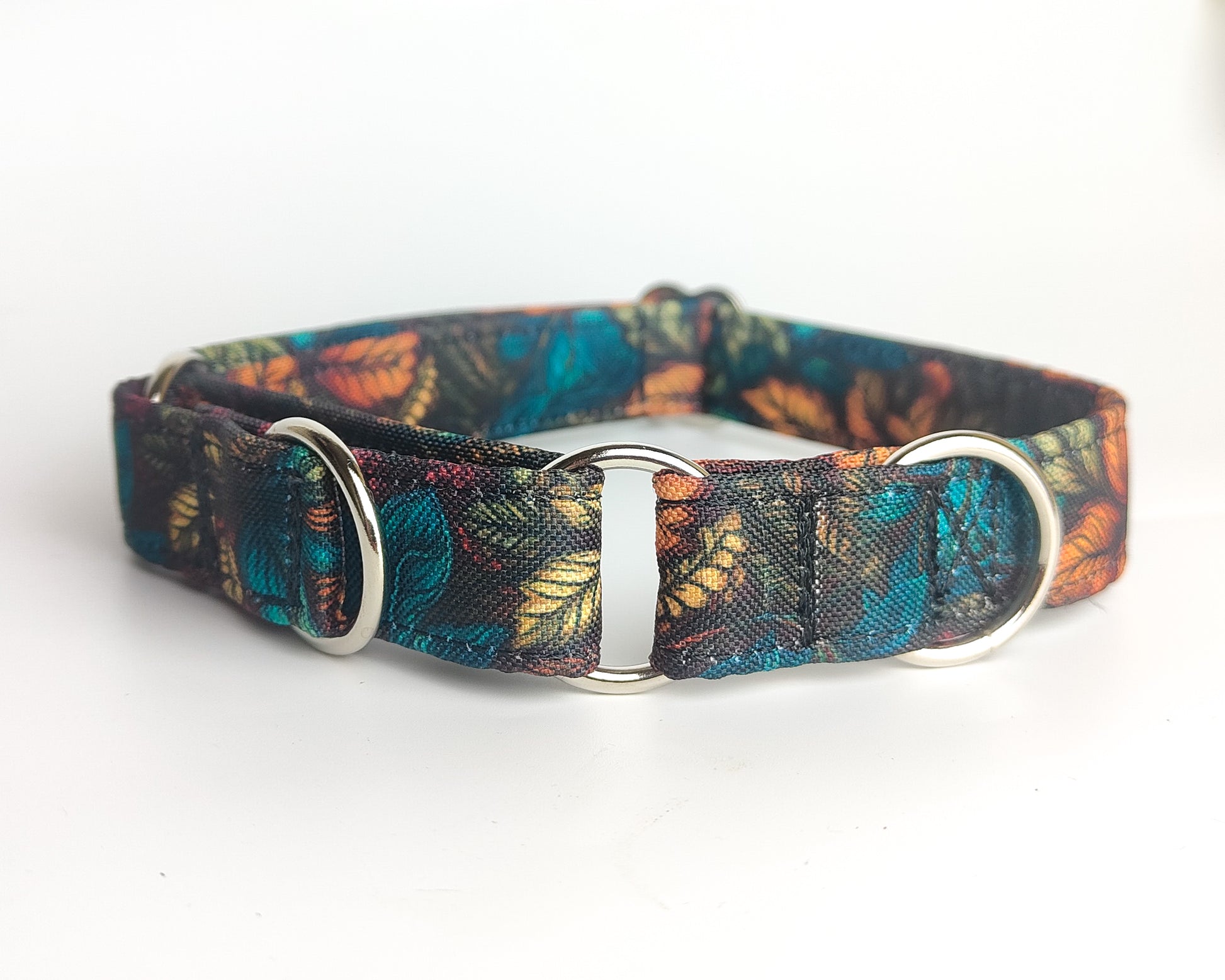 bespoke dog collar in one of our many design options, made to measure for a custom fit