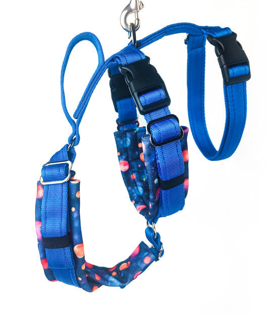 Electric Blue X Lost In Space - Adjustable Houdini harness