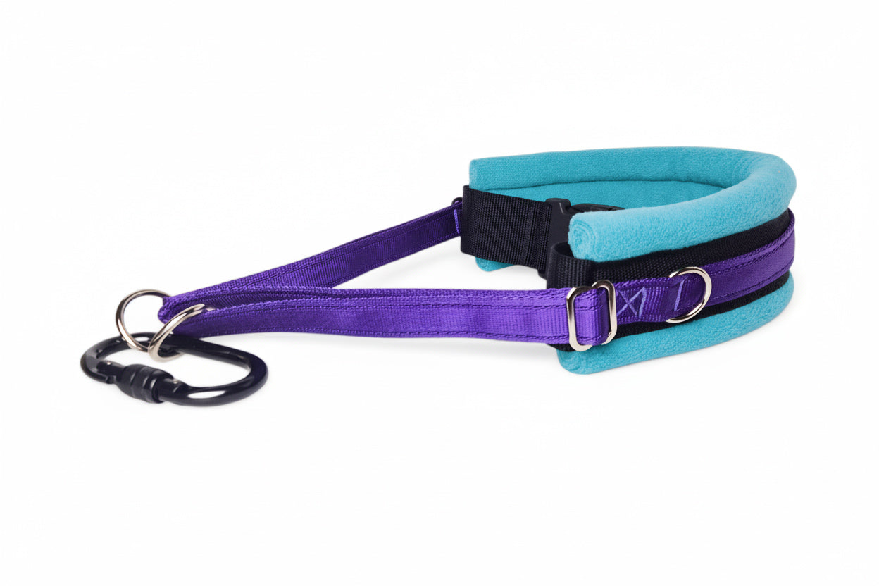 Hands Free Dog Walking Belt - Purple Webbing