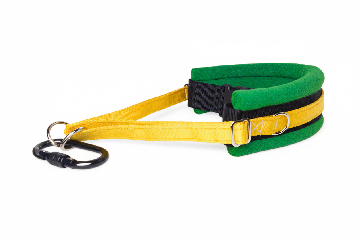 Hands Free Dog Walking Belt - Yellow Webbing