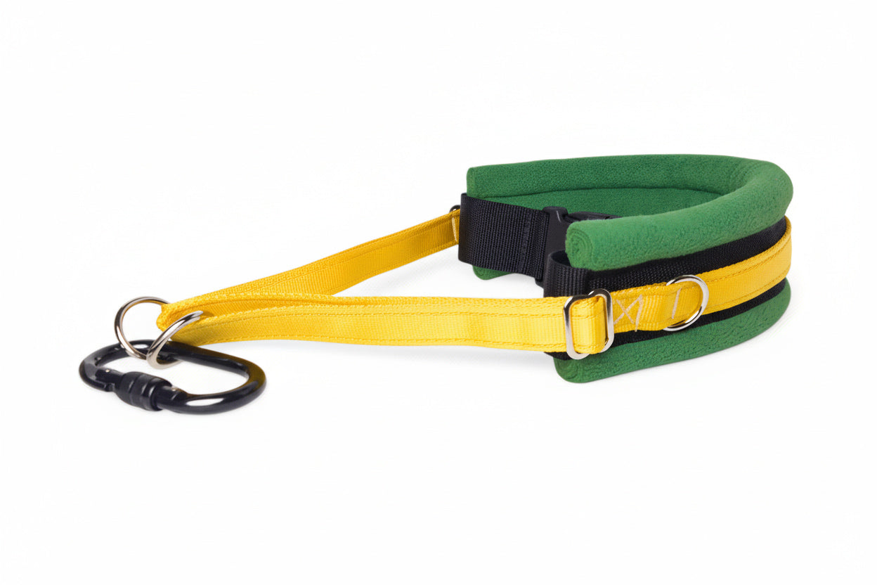 Hands Free Dog Walking Belt - Yellow Webbing
