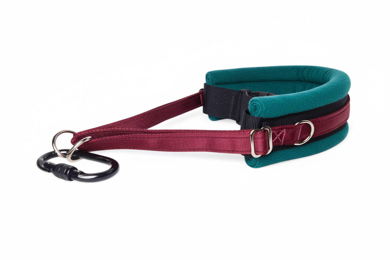 Hands Free Dog Walking Belt - Burgundy Webbing