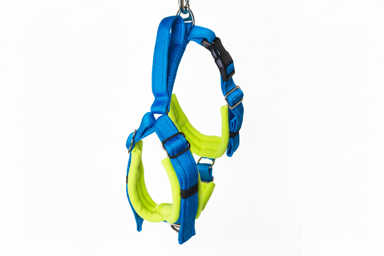 Electric Blue Adjustable Vari-Fit Harness - Fleece Lined
