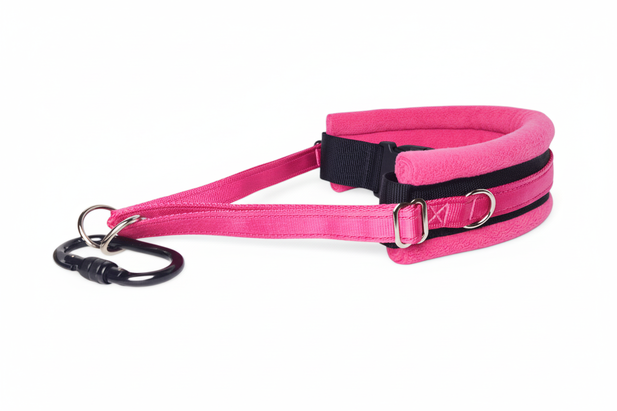 All hot pink collar