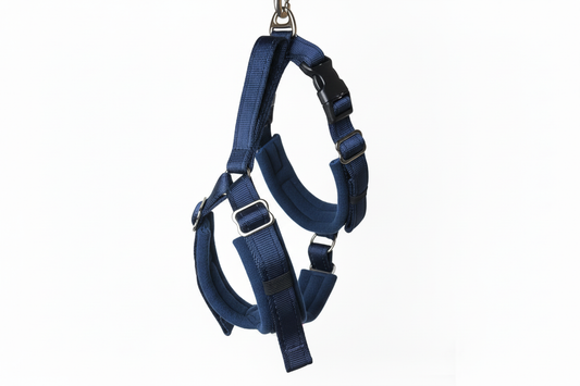 All navy blue harness