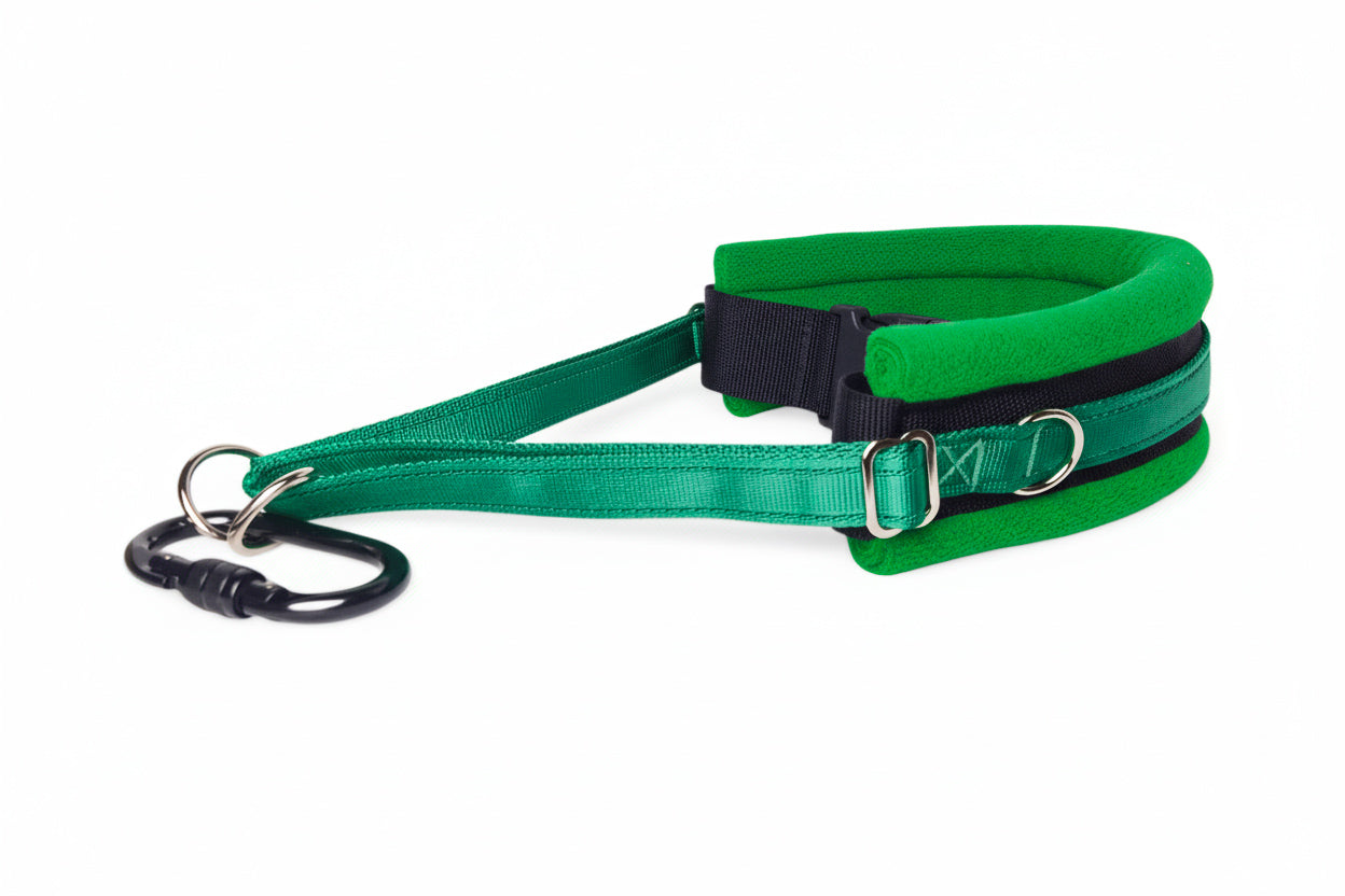 Hands Free Dog Walking Belt - Emerald Green Webbing