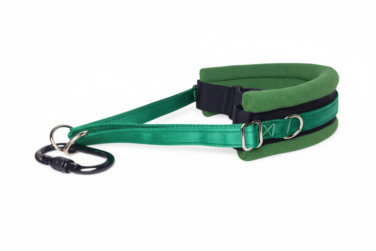Hands Free Dog Walking Belt - Emerald Green Webbing