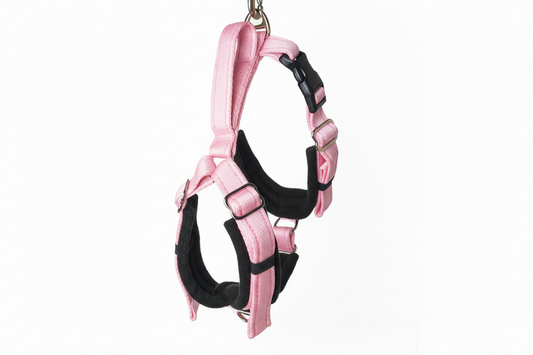 Baby pink and black harness