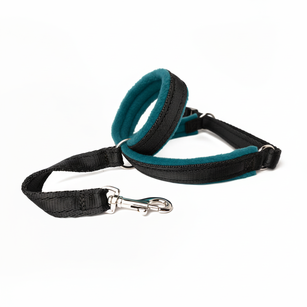 Black webbing with petrol blue padding