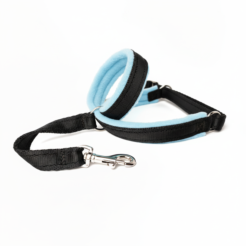 Black webbing with very pale sky blue padding
