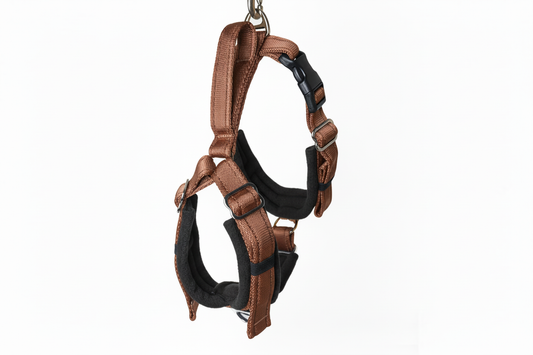 Brown and black harness