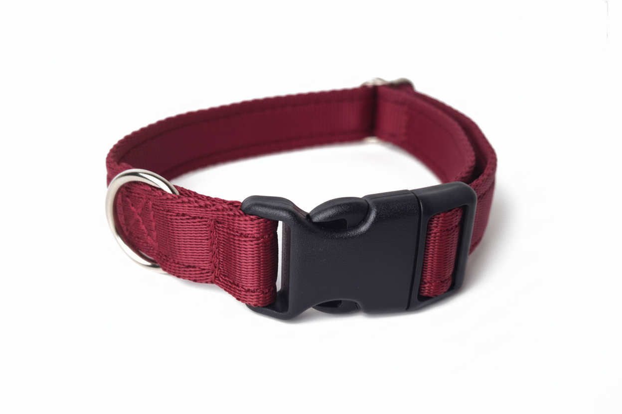 Burgundy clip collar