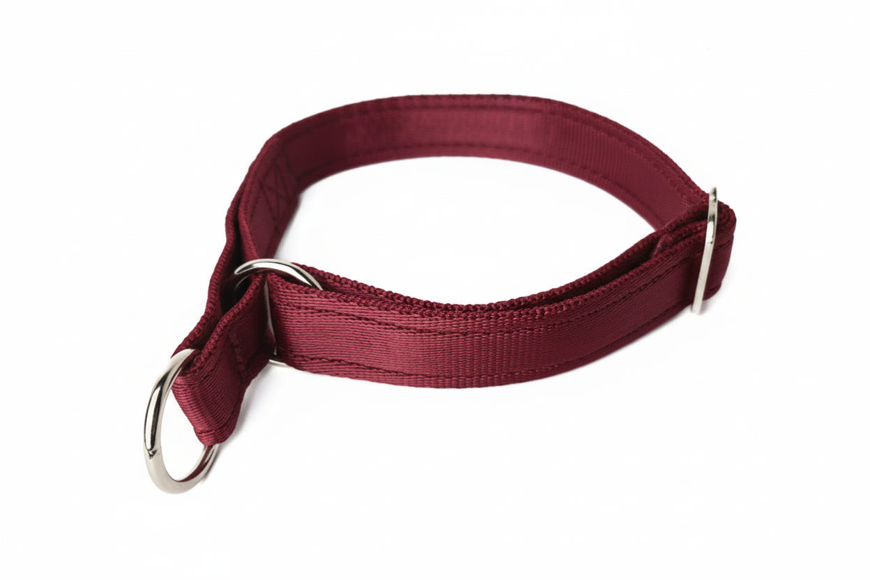 Burgundy collar