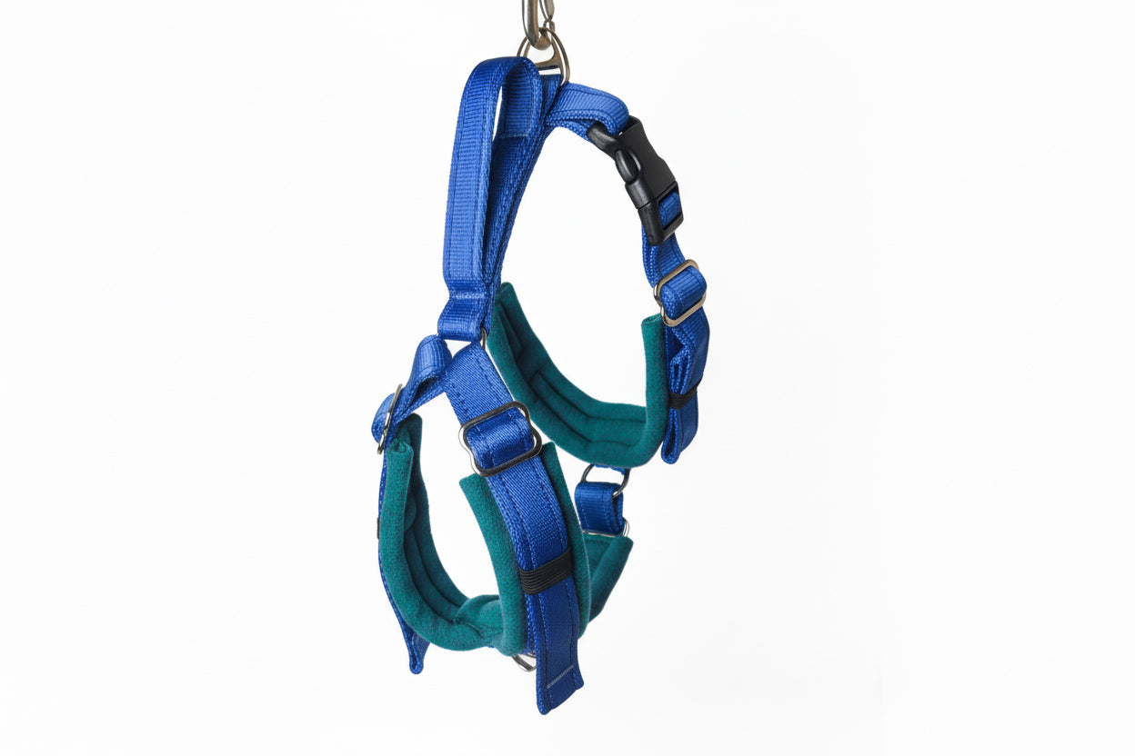 Royal Blue Adjustable Vari-Fit Harness - Fleece Lined