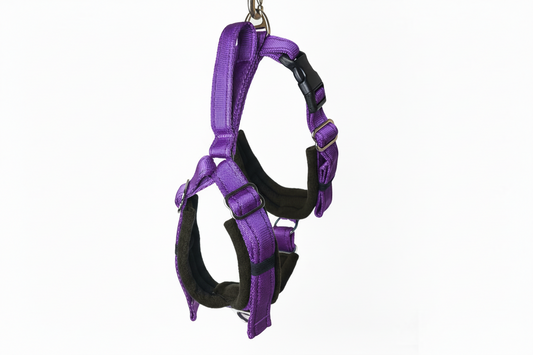 Purple Adjustable Vari-Fit Harness - Fleece Lined
