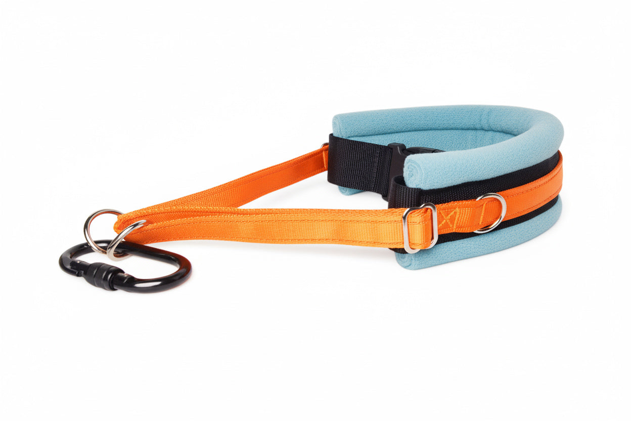 Hands Free Dog Walking Belt - Orange Webbing
