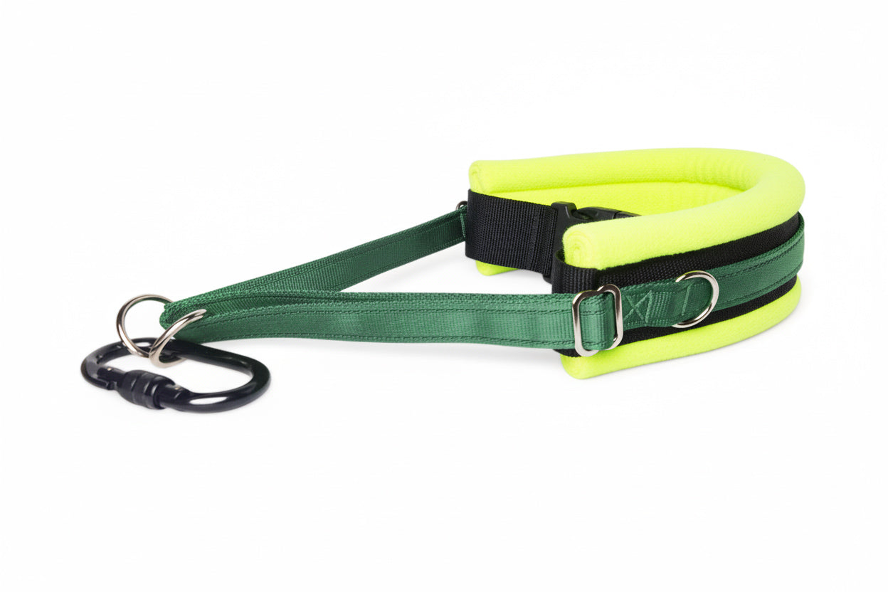 Hands Free Dog Walking Belt - Forest Green Webbing