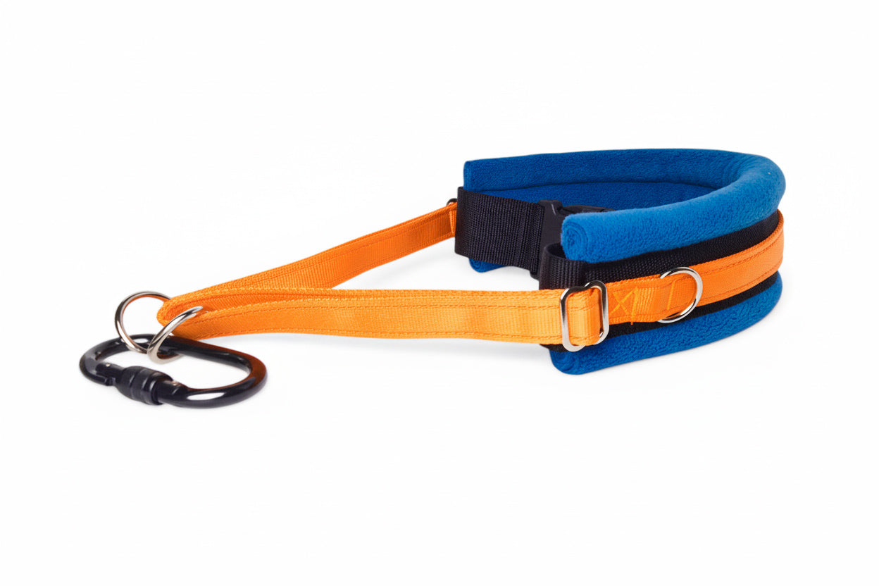 Hands Free Dog Walking Belt - Orange Webbing