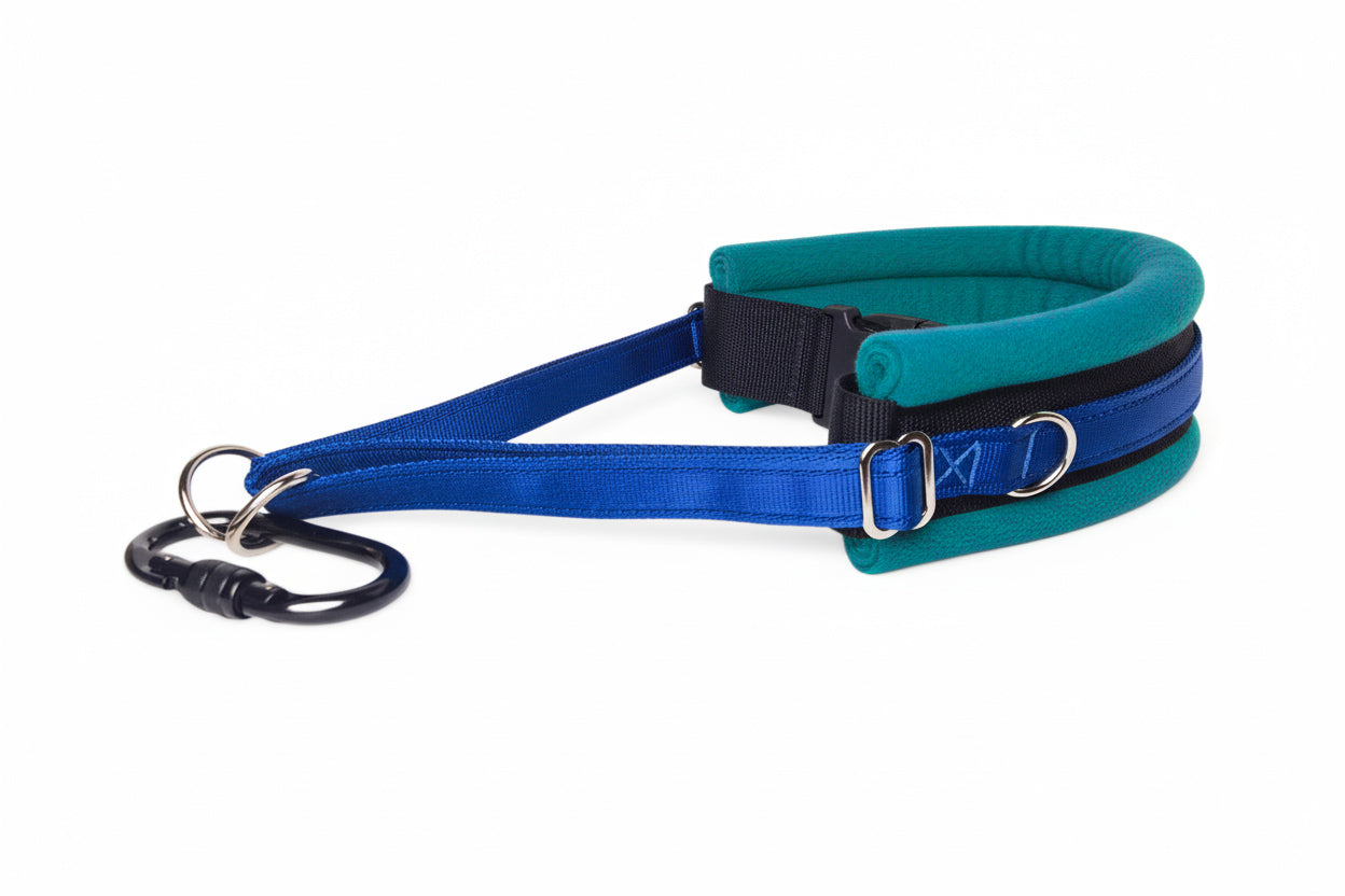 Hands Free Dog Walking Belt - Royal Blue Webbing