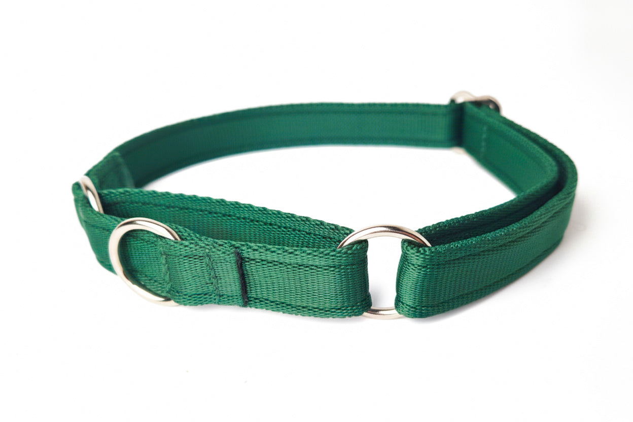 Martingale Collar