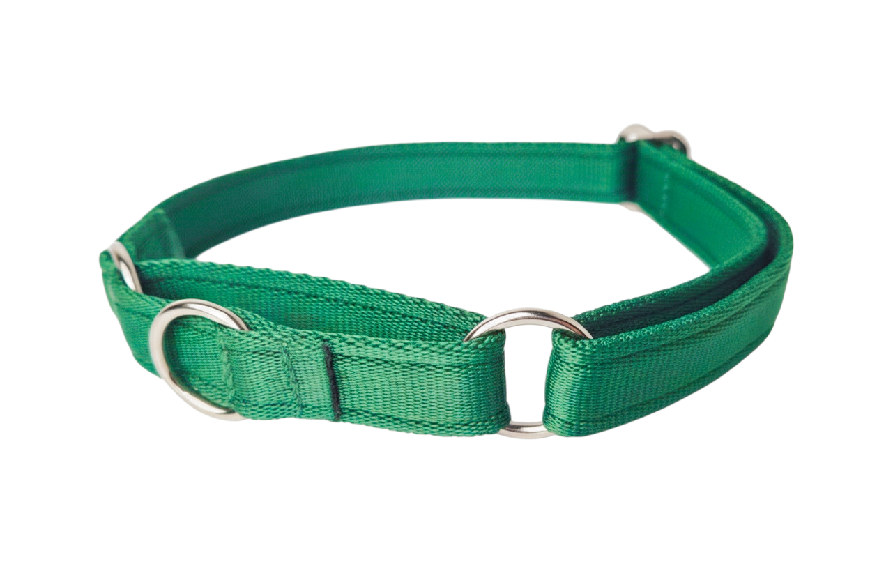 Martingale Collar