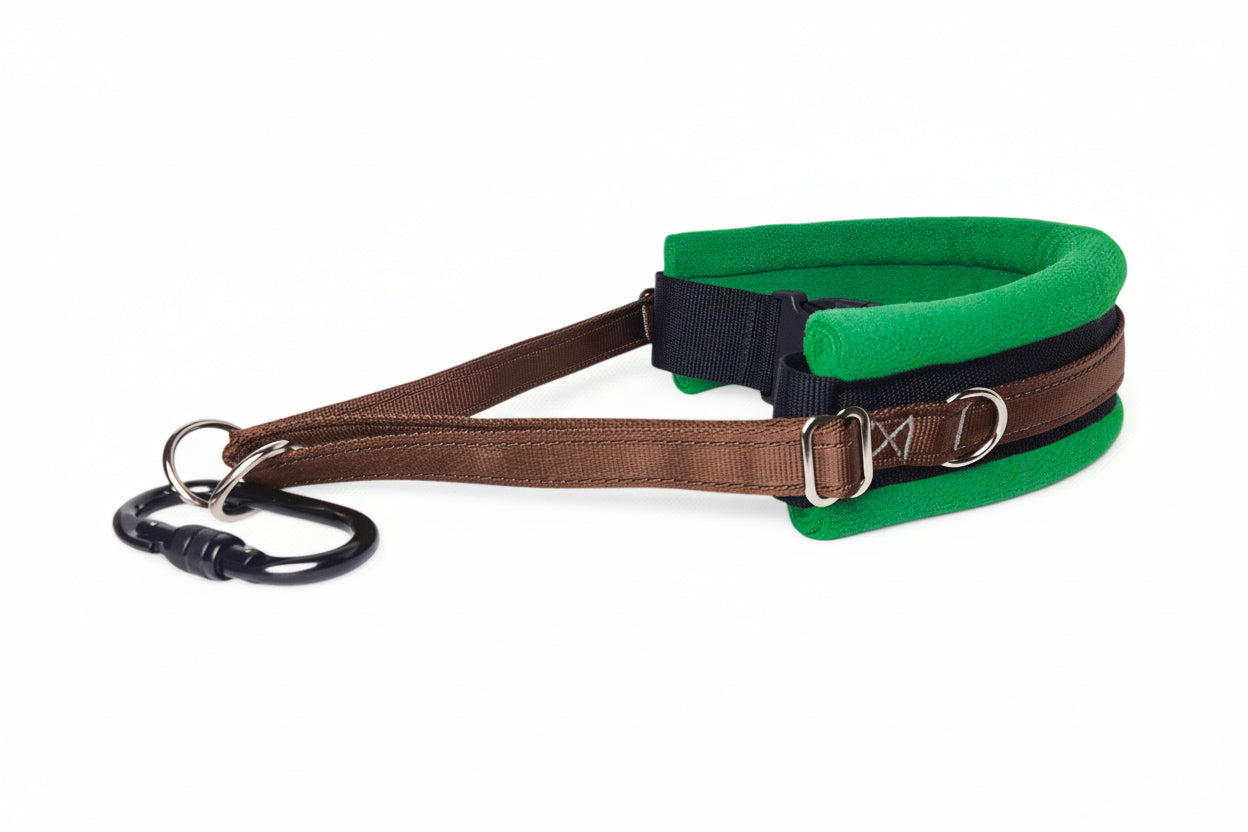 Hands Free Dog Walking Belt - Brown Webbing