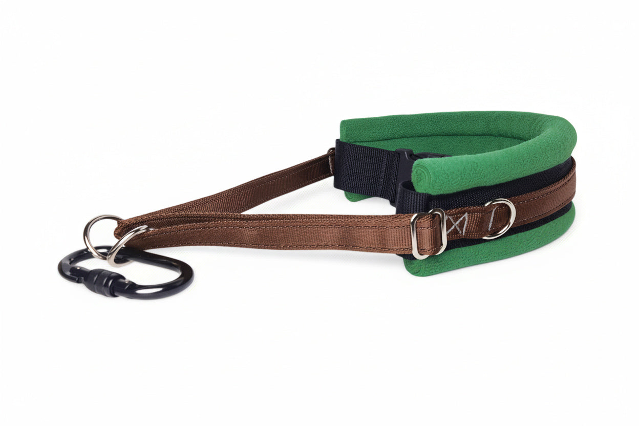 Hands Free Dog Walking Belt - Brown Webbing