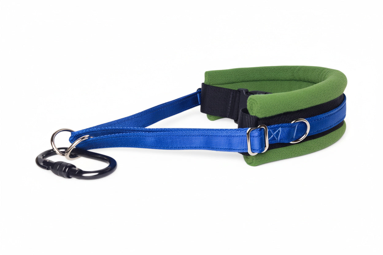 Hands Free Dog Walking Belt - Royal Blue Webbing
