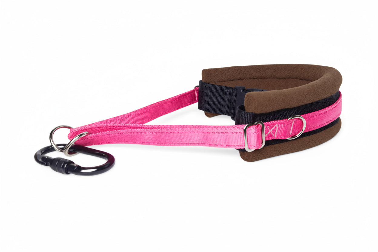 Hands Free Dog Walking Belt - Hot Pink Webbing