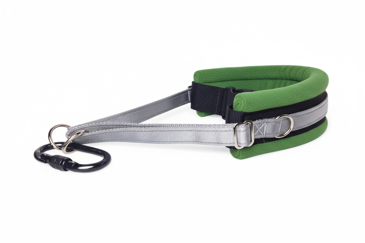 Hands Free Dog Walking Belt - Silver Webbing