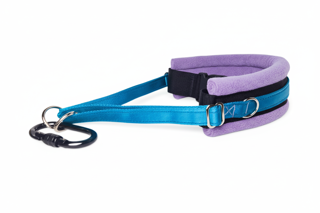 Electric blue and lilac collar