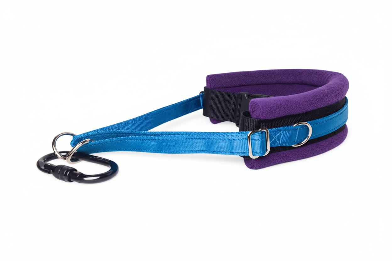 Electric blue and purple collar
