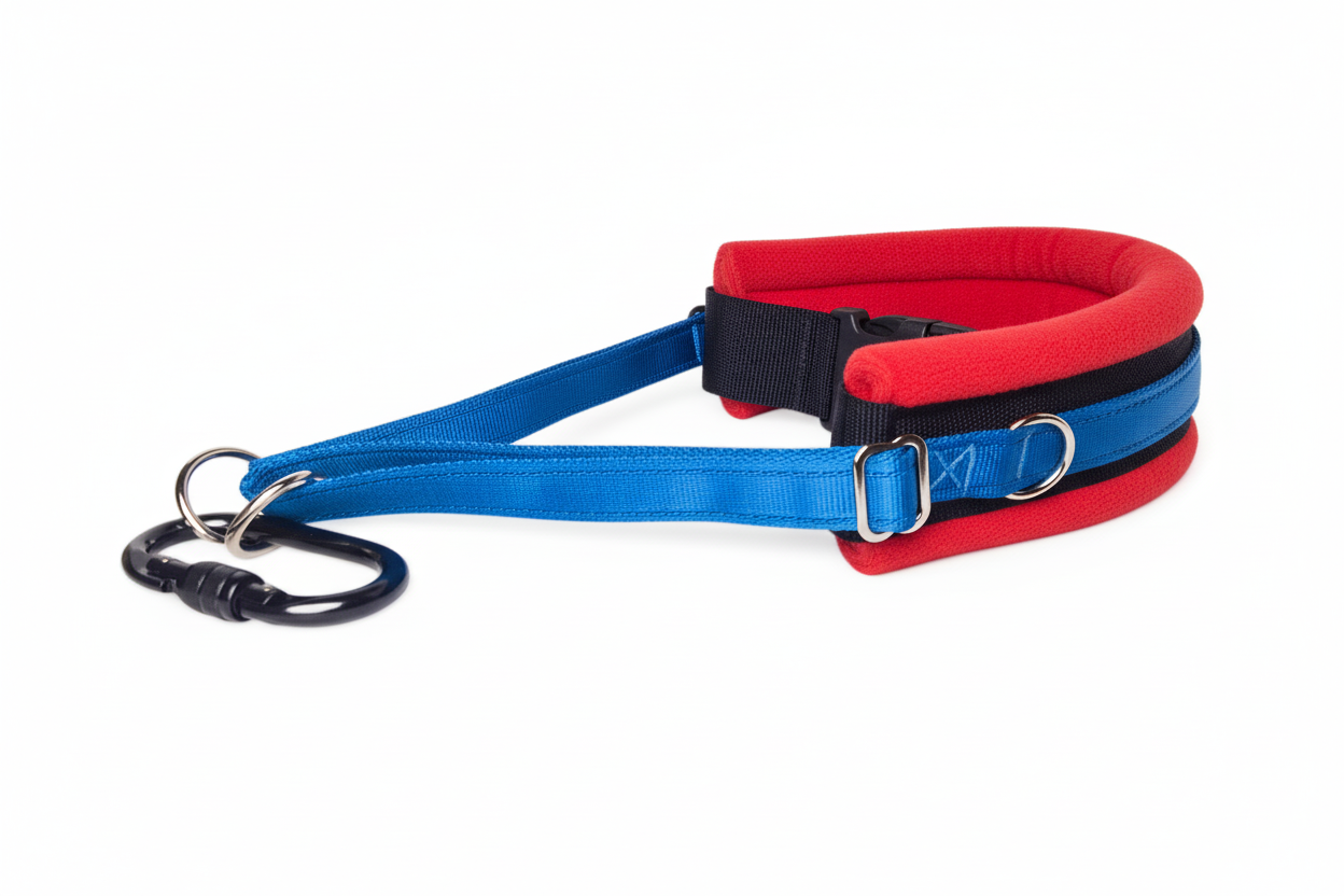 Electric blue and red collar