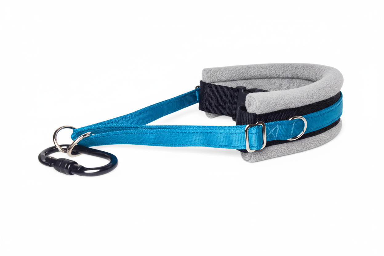 Electric blue and silver grey collar