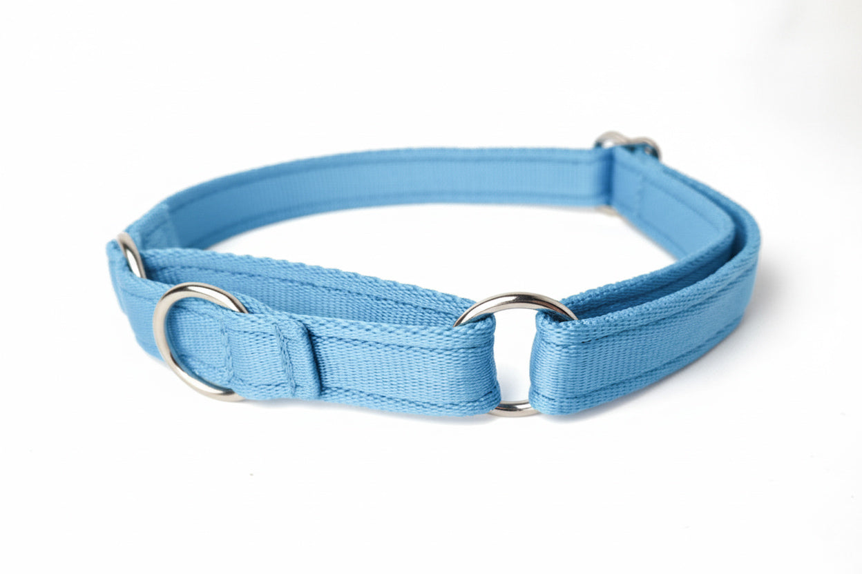 Martingale Collar