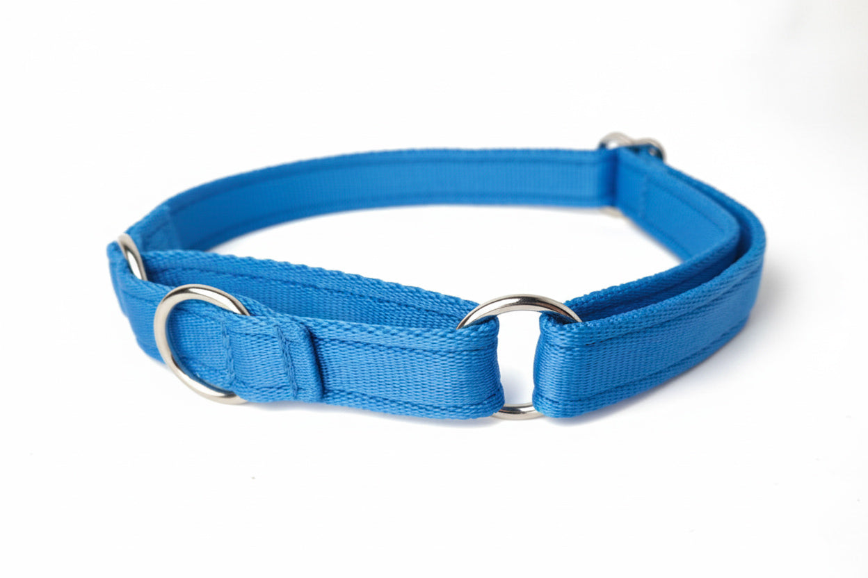 Martingale Collar