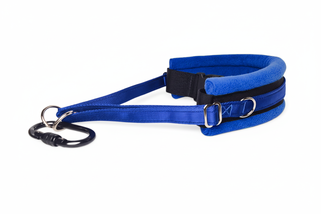Hands Free Dog Walking Belt - Royal Blue Webbing