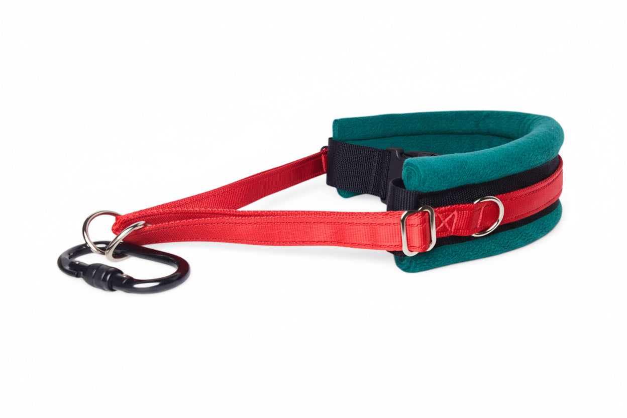 Hands Free Dog Walking Belt - Red Webbing