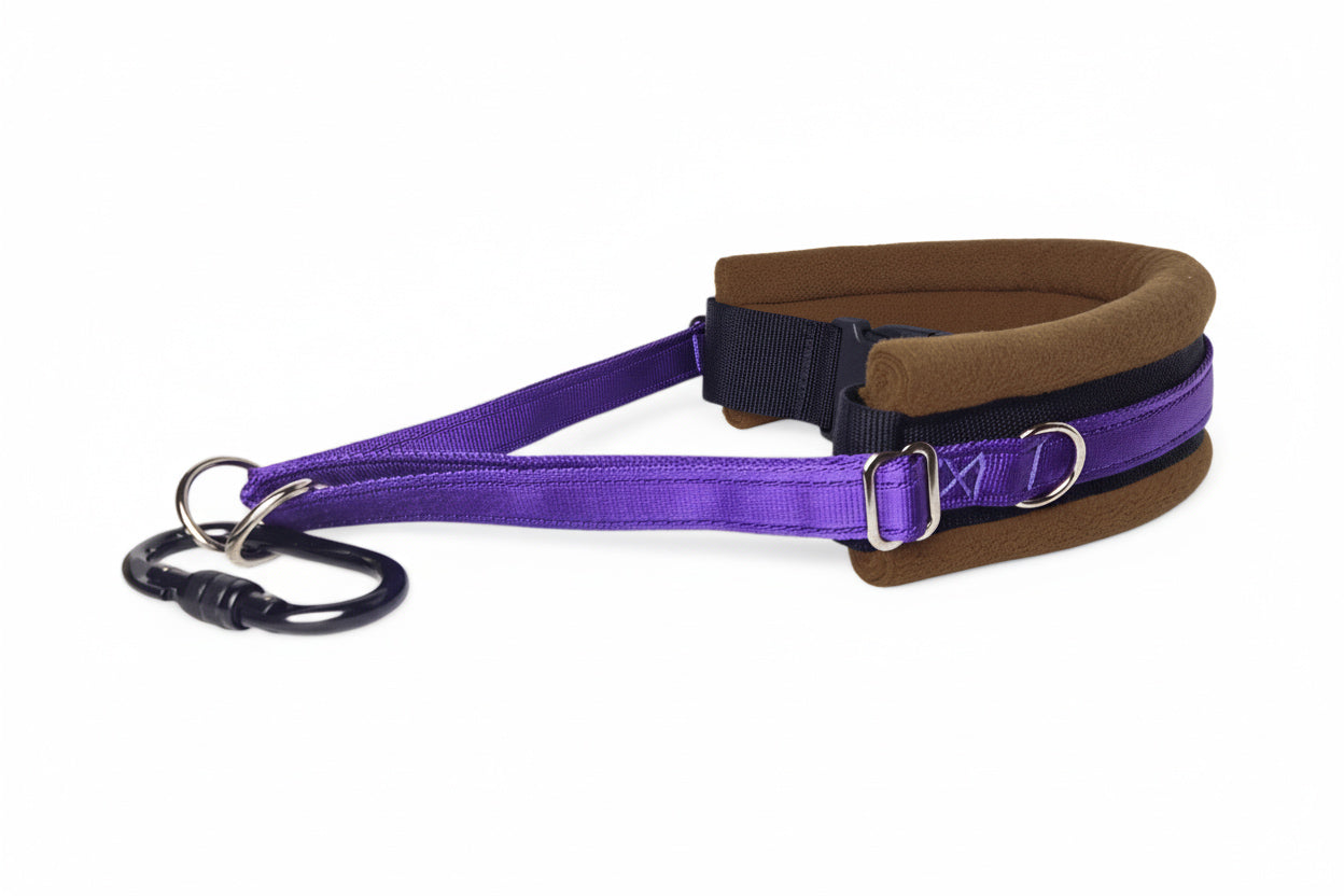 Hands Free Dog Walking Belt - Purple Webbing