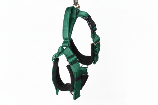 Forest green and black harness