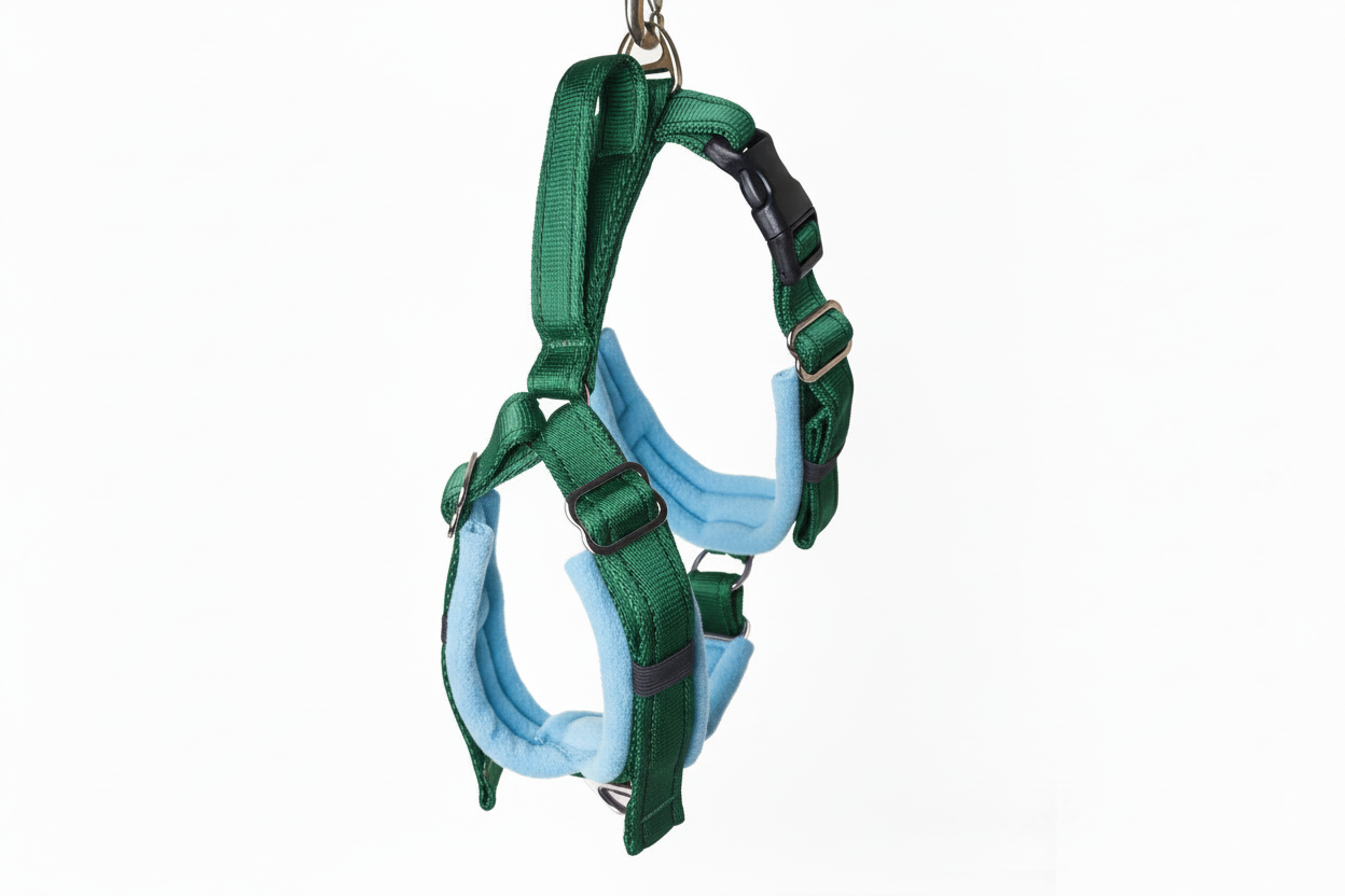 Forest green and sky blue harness