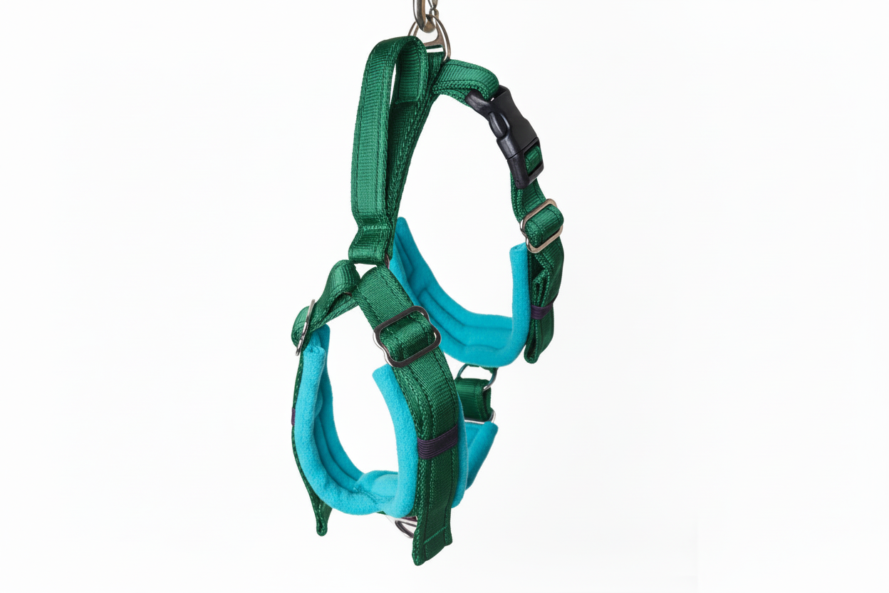 Forest green and turquoise harness