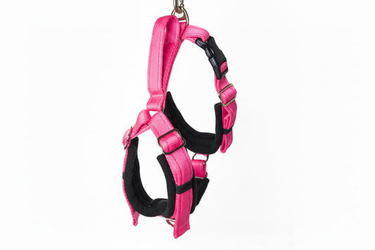 Hot pink and black harness